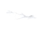 Carrelage B. Calacatta blanc mat 30x60 cm
