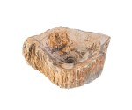 VASQUE NATURELLE BOIS FOSSILISÉ