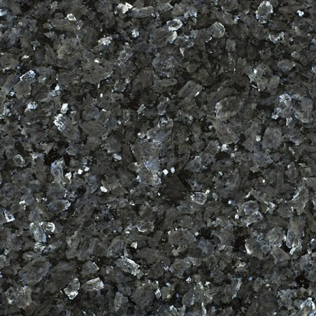 Labrador Bleu DB - Brut